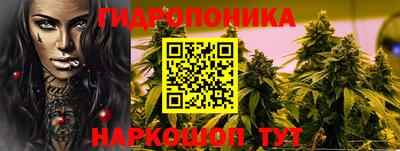 спиды Будённовск