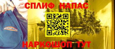 спиды Будённовск